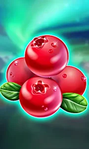 Winterberries